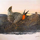 Art & Collectibles > Prints > Lithographs - Richard Sloan, Prairie Chicken, Signed Print, 28x22, Wade Collection, Plate 11...