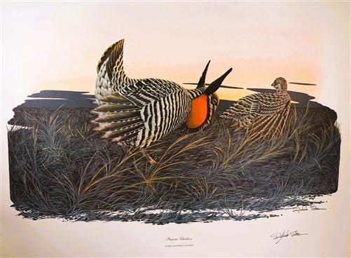 Art & Collectibles > Prints > Lithographs - Richard Sloan, Prairie Chicken, Signed Print, 28x22, Wade Collection, Plate 11...