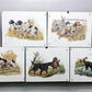 Art & Collectibles > Prints > Lithographs - 5 Ernest Hart Signed Dog Prints, 28x22 Wade Collection Lithograph Plates 1-5 b...