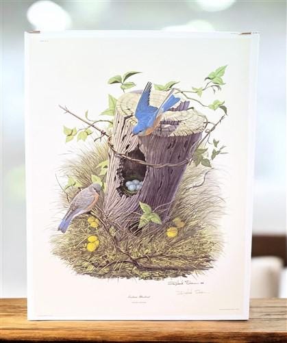Art & Collectibles > Prints > Lithographs - Richard Sloan, Eastern Bluebird, Signed Print, 28x22, Wade Collection, Plate 2...