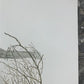 Art & Collectibles > Prints > Lithographs - Ernest Hart, English Setters, Signed Dog Print, 28x22, Wade Collection, Plate...