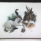 Art & Collectibles > Prints > Lithographs - Richard Timm, Longtail Weasel, Signed Print, 28x22 Wade Collection, Plate 37 b...