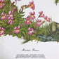Art & Collectibles > Prints > Lithographs - Maryrose Wampler, Mountain Flowers, Signed Print, 28x22 Wall Art, Plate 30 by...
