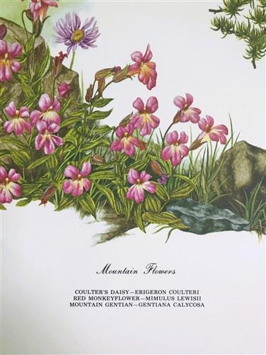 Art & Collectibles > Prints > Lithographs - Maryrose Wampler, Mountain Flowers, Signed Print, 28x22 Wall Art, Plate 30 by...