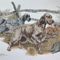Art & Collectibles > Prints > Lithographs - Ernest Hart, English Setters, Signed Dog Print, 28x22, Wade Collection, Plate...