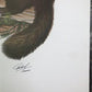 Art & Collectibles > Prints > Lithographs - Richard Timm, Pine Marten, Signed Print, 28x22 Wade Collection, Plate 39 by Th...