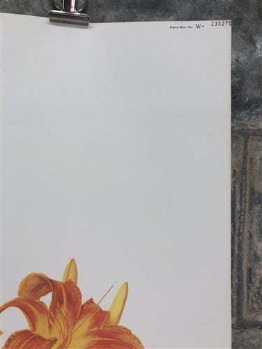 Art & Collectibles > Prints > Lithographs - Maryrose Wampler, Lilies & Trumpet Vine, Signed Print, 28x22 Wall Art, Plate 2...