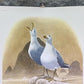 Art & Collectibles > Prints > Lithographs - Richard Sloan, California Gull, Signed Print, 28x22, Wade Collection, Plate 31...