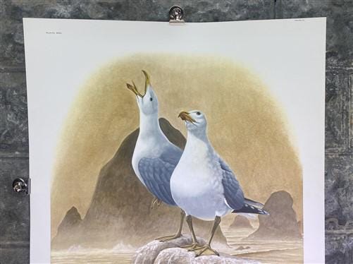 Art & Collectibles > Prints > Lithographs - Richard Sloan, California Gull, Signed Print, 28x22, Wade Collection, Plate 31...