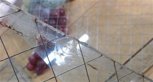 Home & Living > Home Improvement > Windows - 5 Panes Chicken Wire Glass, Georgian Wire Fire Resistant Safety Glass Panels,...