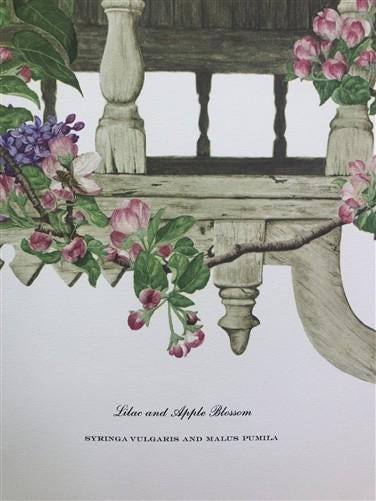 Art & Collectibles > Prints > Lithographs - Maryrose Wampler, Lilac Apple Blossom, Signed Print, 28x22, Wall Art, Plate 6...