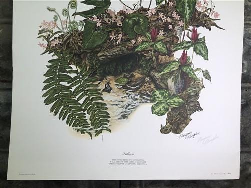 Maryrose Wampler, Trillium, Signed Print, 28x22 Wall Art, Plate 21