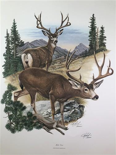 Art & Collectibles > Prints > Lithographs - Richard Timm, Mule Deer, Signed Print, 28x22 Wade Collection, Plate 32 by The...