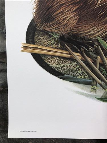 Art & Collectibles > Prints > Lithographs - Richard Timm, Muskrat, Signed Print, 28x22 Wade Collection, Plate 17 by The Ol...