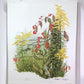 Art & Collectibles > Prints > Lithographs - Maryrose Wampler, Goldenrod, Signed Print, 28x22 Wall Art, Plate 13 by The Old...