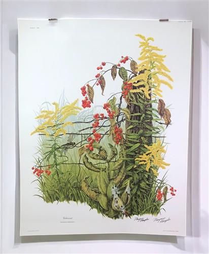 Art & Collectibles > Prints > Lithographs - Maryrose Wampler, Goldenrod, Signed Print, 28x22 Wall Art, Plate 13 by The Old...