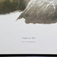 Art & Collectibles > Prints > Lithographs - Richard Sloan, California Gull, Signed Print, 28x22, Wade Collection, Plate 31...