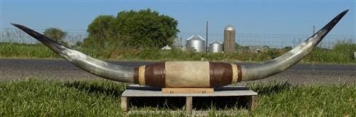 5'9" Longhorn Mounted Cattle Horns Steer Bull Western Texas Ranch Decor A11