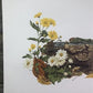 Art & Collectibles > Prints > Lithographs - Maryrose Wampler, Daisy Mum, Signed Print, 28x22 Wall Art, Plate 4 by The Old...