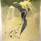 Richard Sloan, Peregrine Falcon, Signed Print, 28x22, Wade Collection, Plate 14
