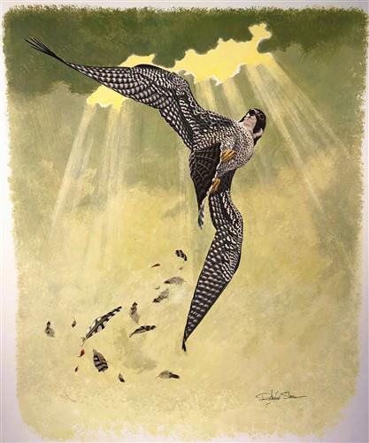 Richard Sloan, Peregrine Falcon, Signed Print, 28x22, Wade Collection, Plate 14