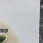 Art & Collectibles > Prints > Lithographs - Richard Sloan, Cactus Wren, Signed Print, 28x22, Wade Collection, Plate 26 by...