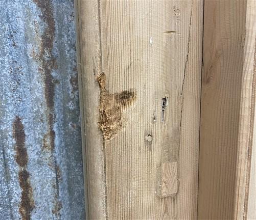 Antique French Single Door (32.5x86) Glass Pane Door with Jamb, Encased Door T9