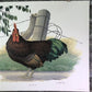 Art & Collectibles > Prints > Lithographs - Richard Sloan, Rhode Island Red, Signed Print, 28x22, Wade Collection, Plate 5...