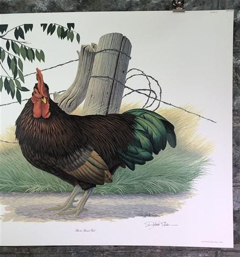 Art & Collectibles > Prints > Lithographs - Richard Sloan, Rhode Island Red, Signed Print, 28x22, Wade Collection, Plate 5...