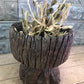 Home & Living > Home Decor > Home Accents - Rustic Wood Planter, Wood Stump, Round Wooden Flower Pot, Natural Wood Decor,...