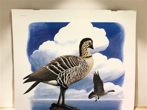 Art & Collectibles > Prints > Lithographs - Richard Sloan, Nene, Signed Print, 28x22, Wade Collection, Plate 41 by The Old...