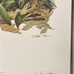 Art & Collectibles > Prints > Lithographs - Richard Sloan, Robin, Signed Print, 28x22, Wade Collection, Plate 9 by The Old...