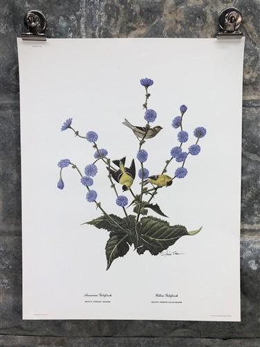 Art & Collectibles > Prints > Lithographs - Richard Sloan, Goldfinch, Signed Print, 11x14, Essay, Sketches, Plate 15 by Th...
