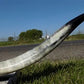 Home & Living > Home Decor > Wall Decor > Wall Hangings - 5'11" Longhorn Mounted Cattle Horns Steer Bull Western Texas Ran...