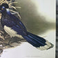 Art & Collectibles > Prints - Axel Amuchastegui, Urraca Jay, 20.75x14 South American Bird Art Print C by The Old Grainery