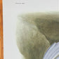 Art & Collectibles > Prints > Lithographs - Richard Sloan, Snowy Owl, Signed Print, 28x22, Wade Collection, Plate 30 by Th...