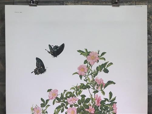 Art & Collectibles > Prints > Lithographs - Maryrose Wampler, Wild Rose, Signed Print, 28x22 Wall Art, Plate 22 by The Old...