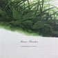 Art & Collectibles > Prints > Lithographs - Richard Sloan, Brown Thrasher, Signed Print, 28x22, Wade Collection, Plate 22...