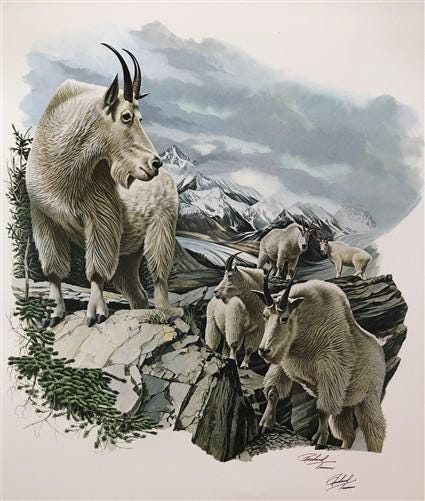 Art & Collectibles > Prints > Lithographs - Richard Timm, Mountain Goat, Signed Print, 28x22 Wade Collection, Plate 26 by...