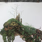 Art & Collectibles > Prints > Lithographs - Maryrose Wampler, Trailing Arbutus, Signed Print, 28x22, Wall Art, Plate 2 by...