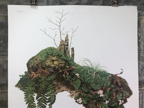 Art & Collectibles > Prints > Lithographs - Maryrose Wampler, Trailing Arbutus, Signed Print, 28x22, Wall Art, Plate 2 by...