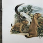 Art & Collectibles > Prints > Lithographs - Richard Timm, Prairie Dog, Signed Print, 28x22 Wade Collection, Plate 29 by Th...