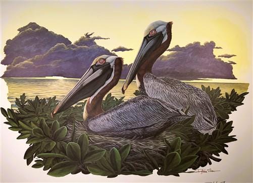 Richard Sloan, Brown Pelican, Signed Print, 28x22, Wade Collection, Plate 17
