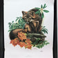 Art & Collectibles > Prints > Lithographs - Richard Timm, Gray Fox, Signed Print, 28x22 Wade Collection, Plate 19 by The O...