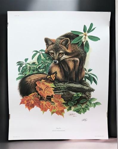 Art & Collectibles > Prints > Lithographs - Richard Timm, Gray Fox, Signed Print, 28x22 Wade Collection, Plate 19 by The O...