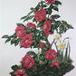 Maryrose Wampler, Camellia, Signed Print, 28x22 Wall Art, Plate 19