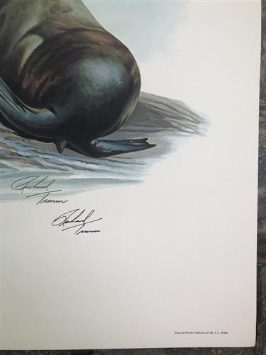 Art & Collectibles > Prints > Lithographs - Richard Timm, California Sea Lion, Signed Print, 28x22 Wade Collection, Plate...