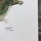 Art & Collectibles > Prints > Lithographs - Richard Timm, Mountain Lion, Signed Print, 28x22 Wade Collection, Plate 12 by...