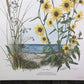 Art & Collectibles > Prints > Lithographs - Maryrose Wampler, Dune Flowers, Signed Print, 28x22 Wall Art, Plate 20 by The...
