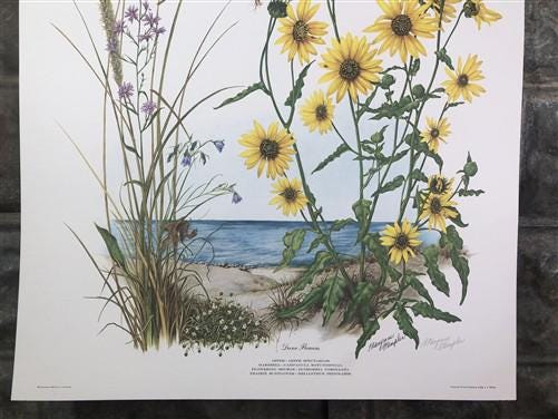 Art & Collectibles > Prints > Lithographs - Maryrose Wampler, Dune Flowers, Signed Print, 28x22 Wall Art, Plate 20 by The...